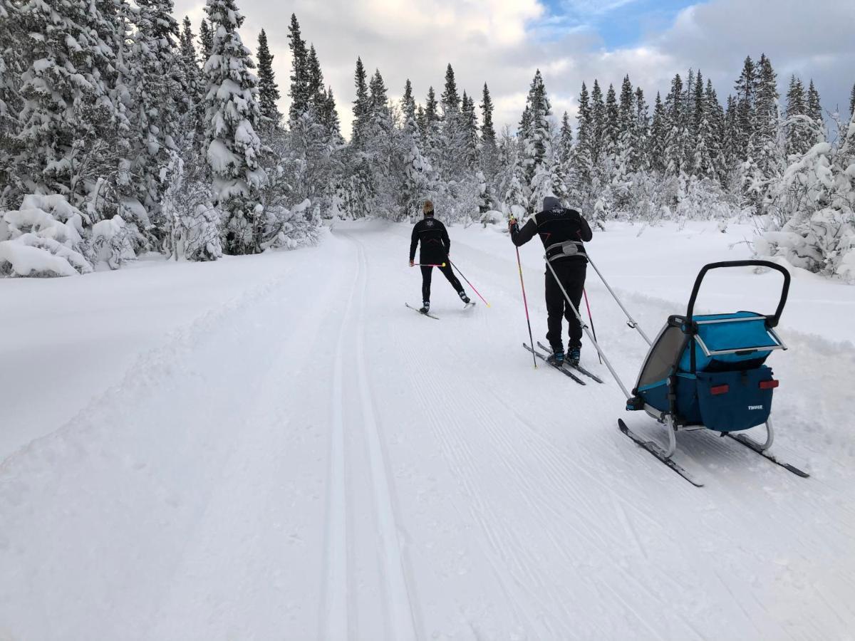 Karolinen Stugor & Laegenheter Are Bagian luar foto